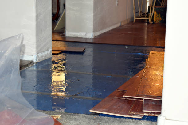 Professional Burst Pipe Cleanup technician working in Atascosa, TX